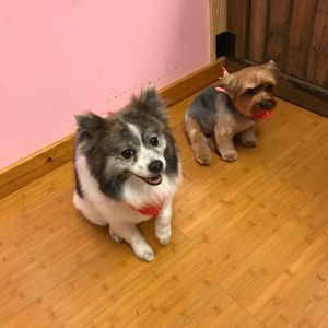 Meet your Posher, Vicky